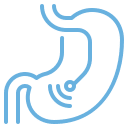 Animal Endoscopy Services Icon